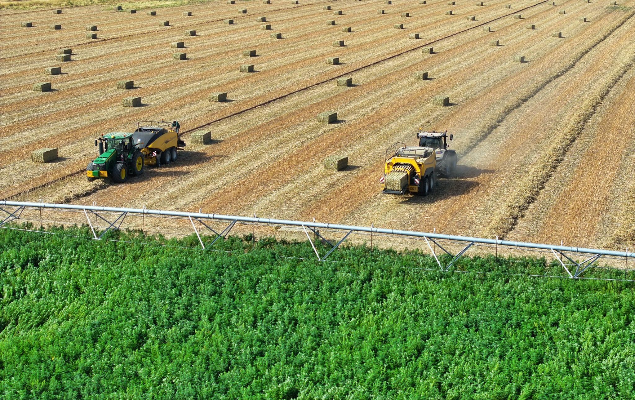 Hemp farm collecting harvested hemp with machinery